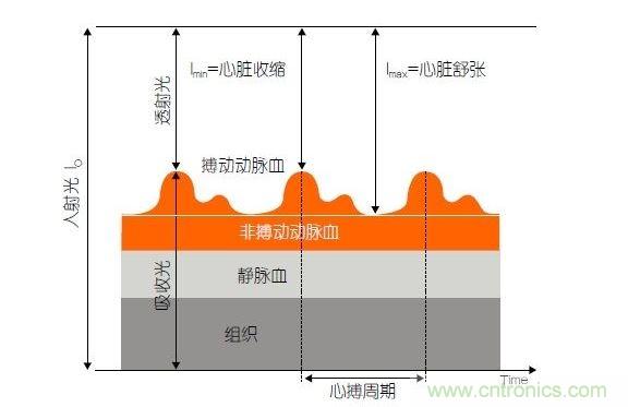 PPG測(cè)量中檢測(cè)器信號(hào)的產(chǎn)生。照射皮膚的光線(I0)被靜脈血或動(dòng)脈血吸收，或反射回檢測(cè)器。信號(hào)的變化分量對(duì)應(yīng)著與心跳同步變化的動(dòng)脈血流量。這個(gè)信號(hào)的變化周期指示了脈率。最小和最大檢測(cè)器信號(hào)的比值(光電流Imin/Imax)為判斷血氧飽和度提供了依據(jù)。