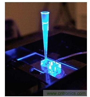 加州柏克萊大學(xué)所開發(fā)的“心臟單芯片”用以放置從成人干細(xì)胞產(chǎn)出的人類心臟組織，該系統(tǒng)有一天可望替代實(shí)驗(yàn)動(dòng)物應(yīng)用于藥物安全篩檢