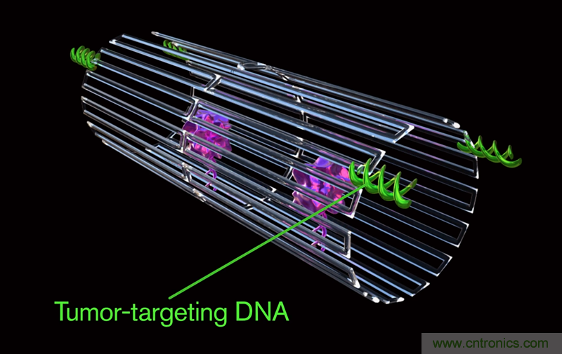 中美科學家聯(lián)手，用DNA納米機器人殺死癌細胞