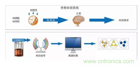 仿生傳感器的定義、原理、分類(lèi)及應(yīng)用