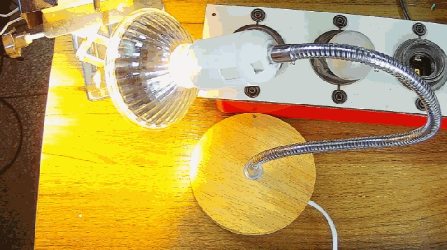 電燈泡內(nèi)通有交流電，為什么看不到燈泡在閃爍？
