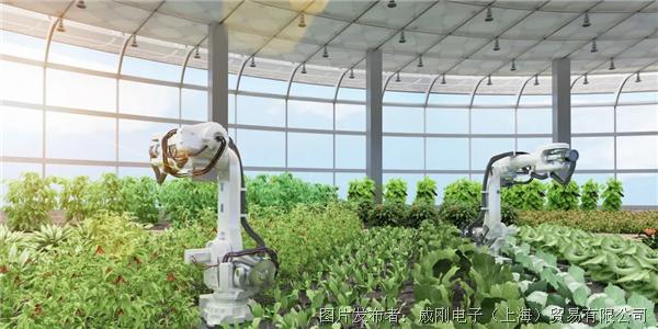 智慧農(nóng)業(yè)大有可為，“數(shù)字種地”更輕松